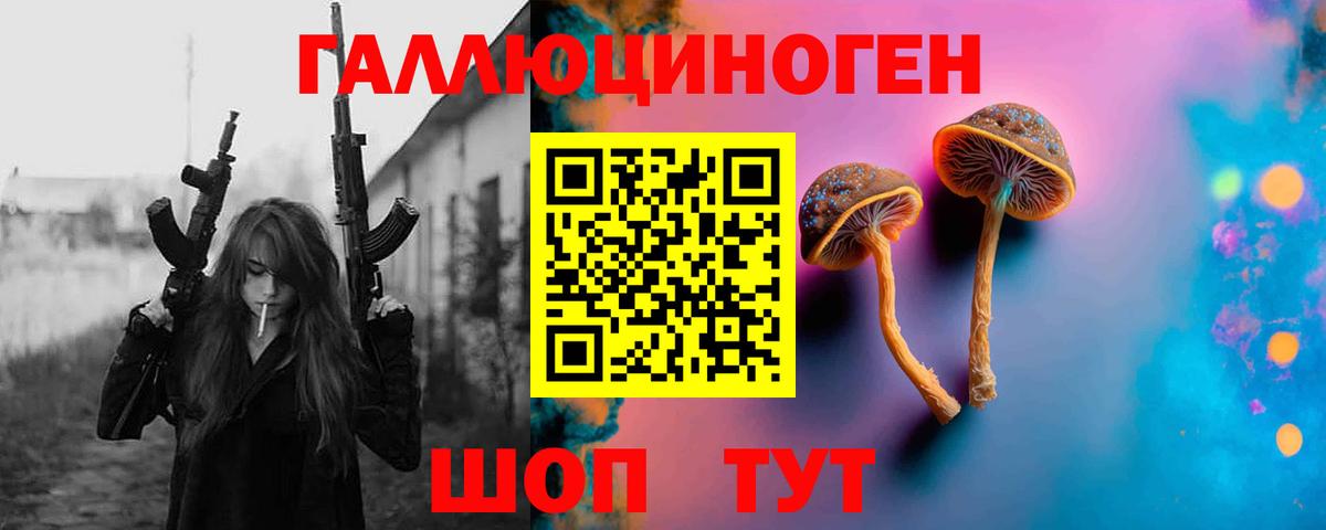 Галлюциногенные грибы Cubensis  Галлюциногенные грибы GOLDEN TEACHER  Петрозаводск  Вход с VPN 